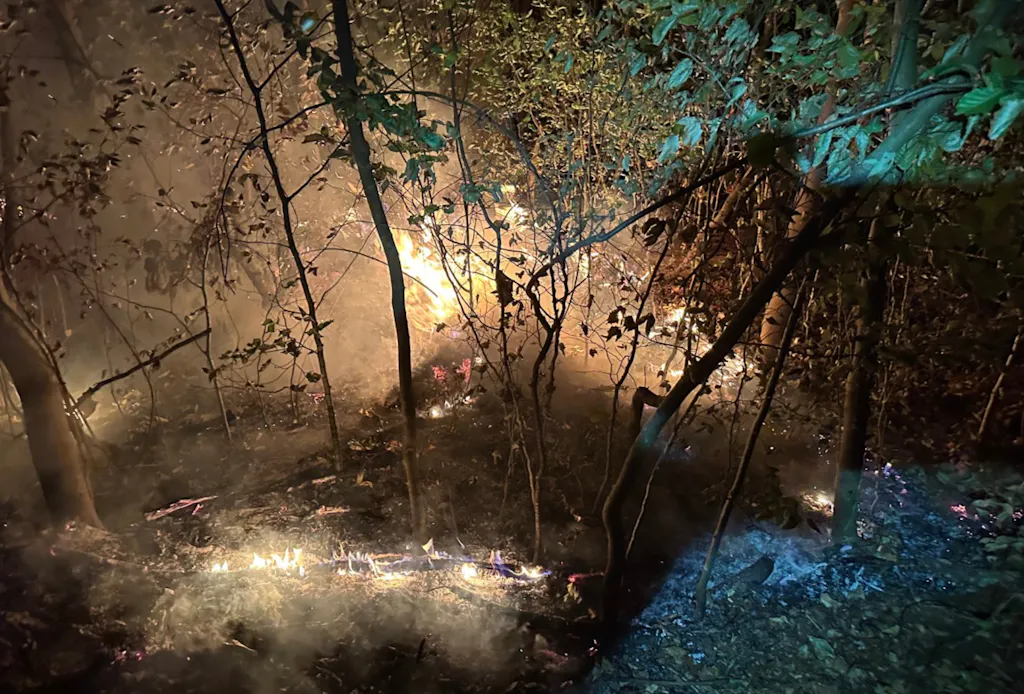 Forest Fire in Möriken, Aargau, Extinguished