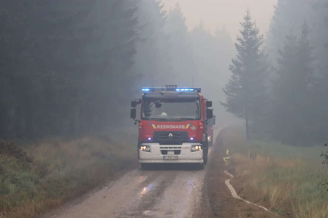 Forest fire in the High Fens continues to rage – smell of smoke reaches ...