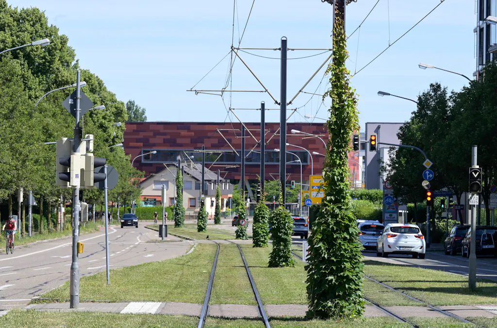 How Switzerland is preparing for extreme weather with sponge cities
