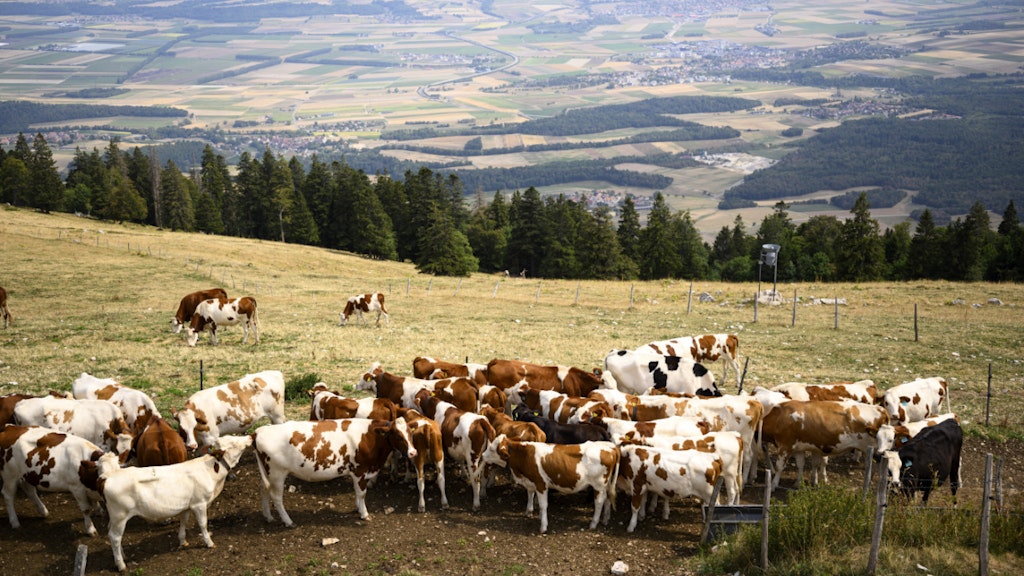 bluewin.ch - Drought Threatens Switzerland's Alpine Farming Industry