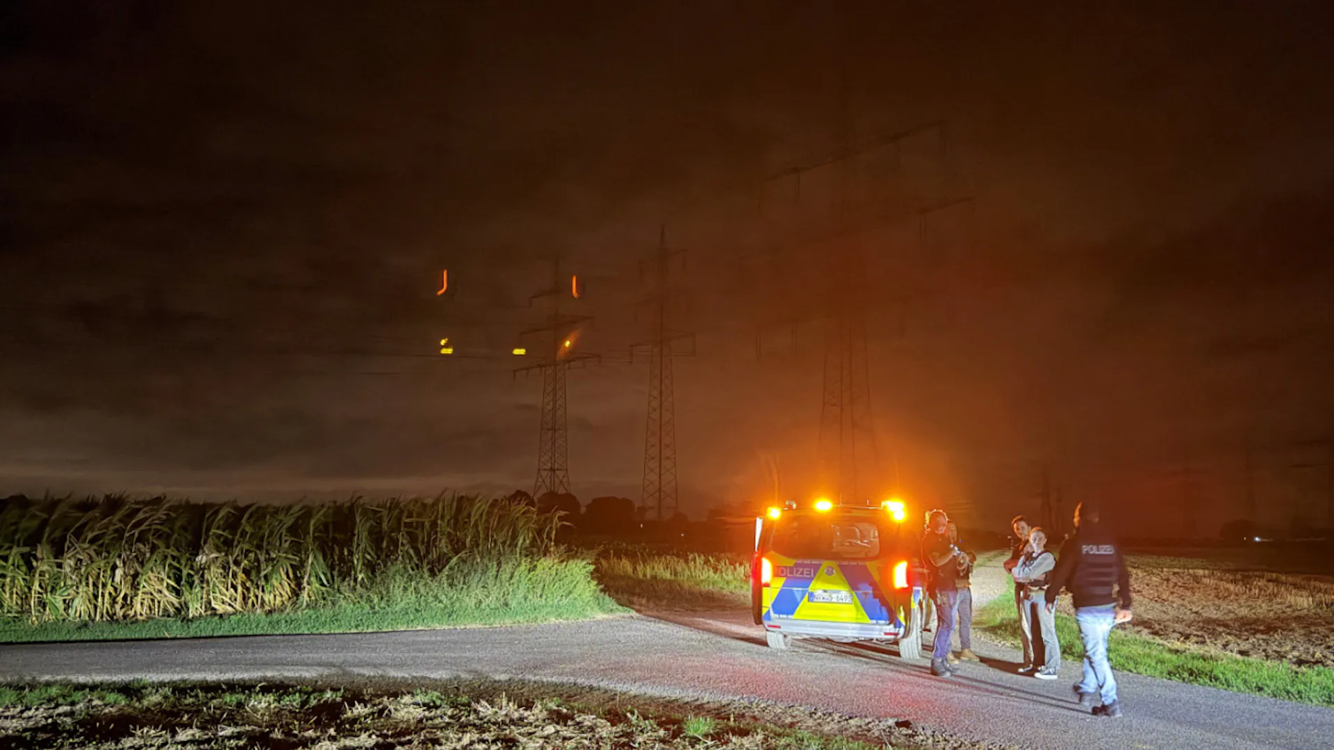 Another Attack on Germany's Power Grid