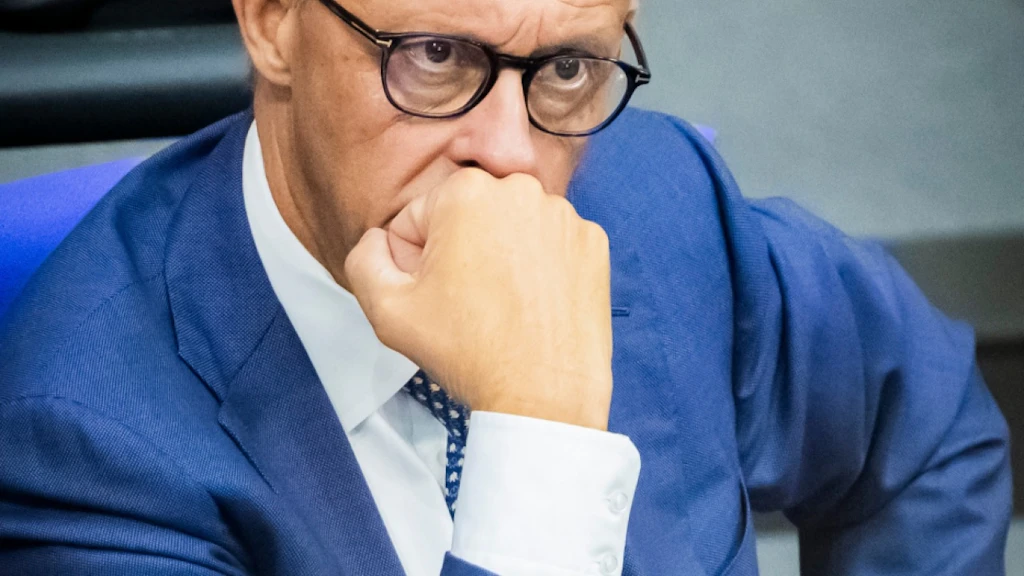 Merz Calls Remigration "Ethnic Cleansing"
