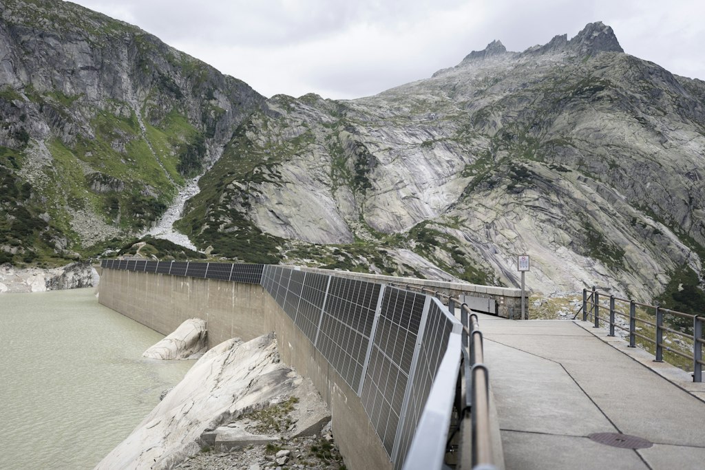 bluewin.ch - 'Political parties and NGOs usually have clear self-interests'