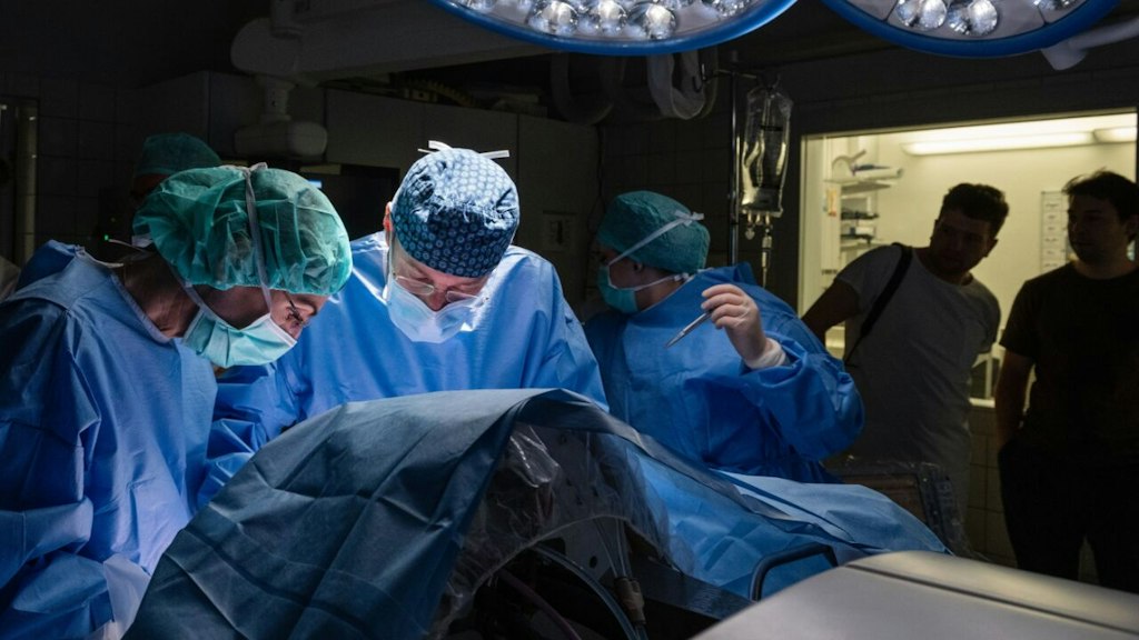 bluewin.ch - ETH Develops Robots for High-Risk Twin Surgeries