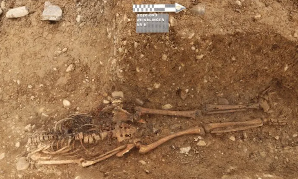 bluewin.ch - Horrifying Discovery During Construction Turns Out to Be a Sensational Find