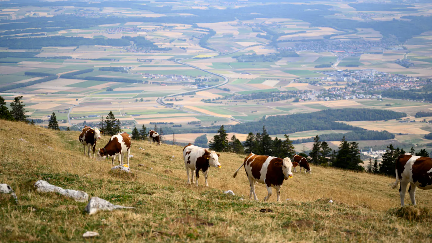 Bauern sind angesichts der Wasserknappheit am Ende ihrer Kräfte