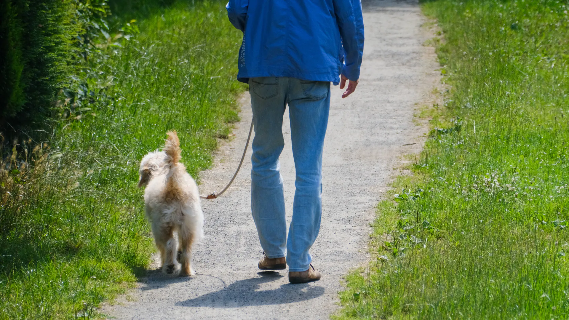 Two dog owners meet in a park—then both pull out their guns