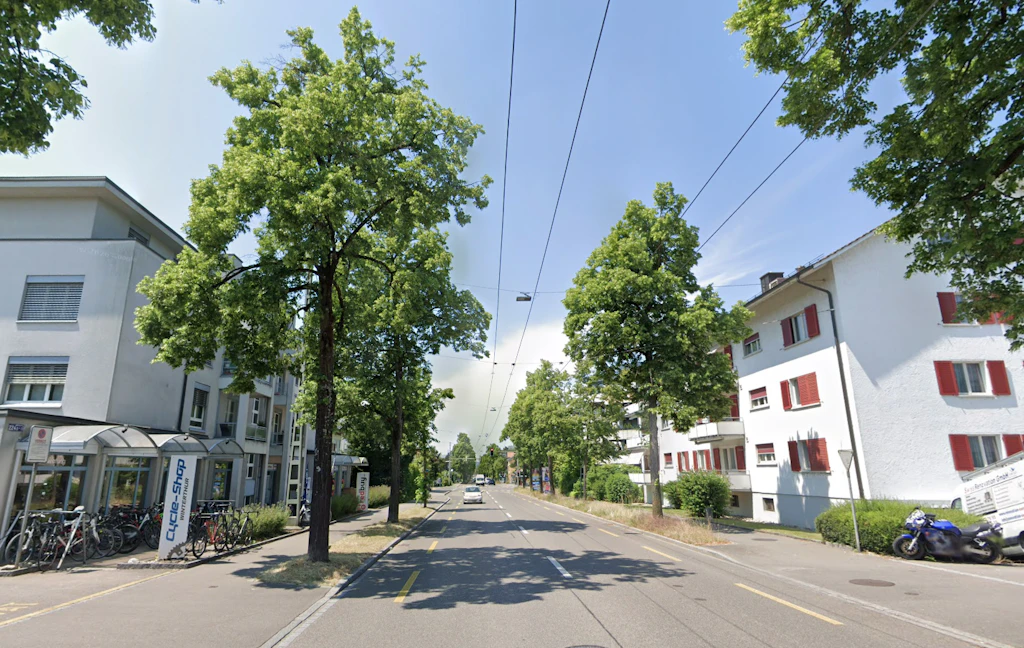 Court Halts 30 km/h Speed Limit on a Busy Street in Winterthur