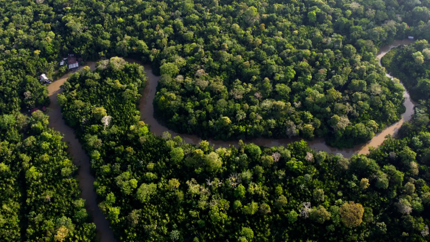 La déforestation en Amazonie à son niveau le plus bas depuis 1988