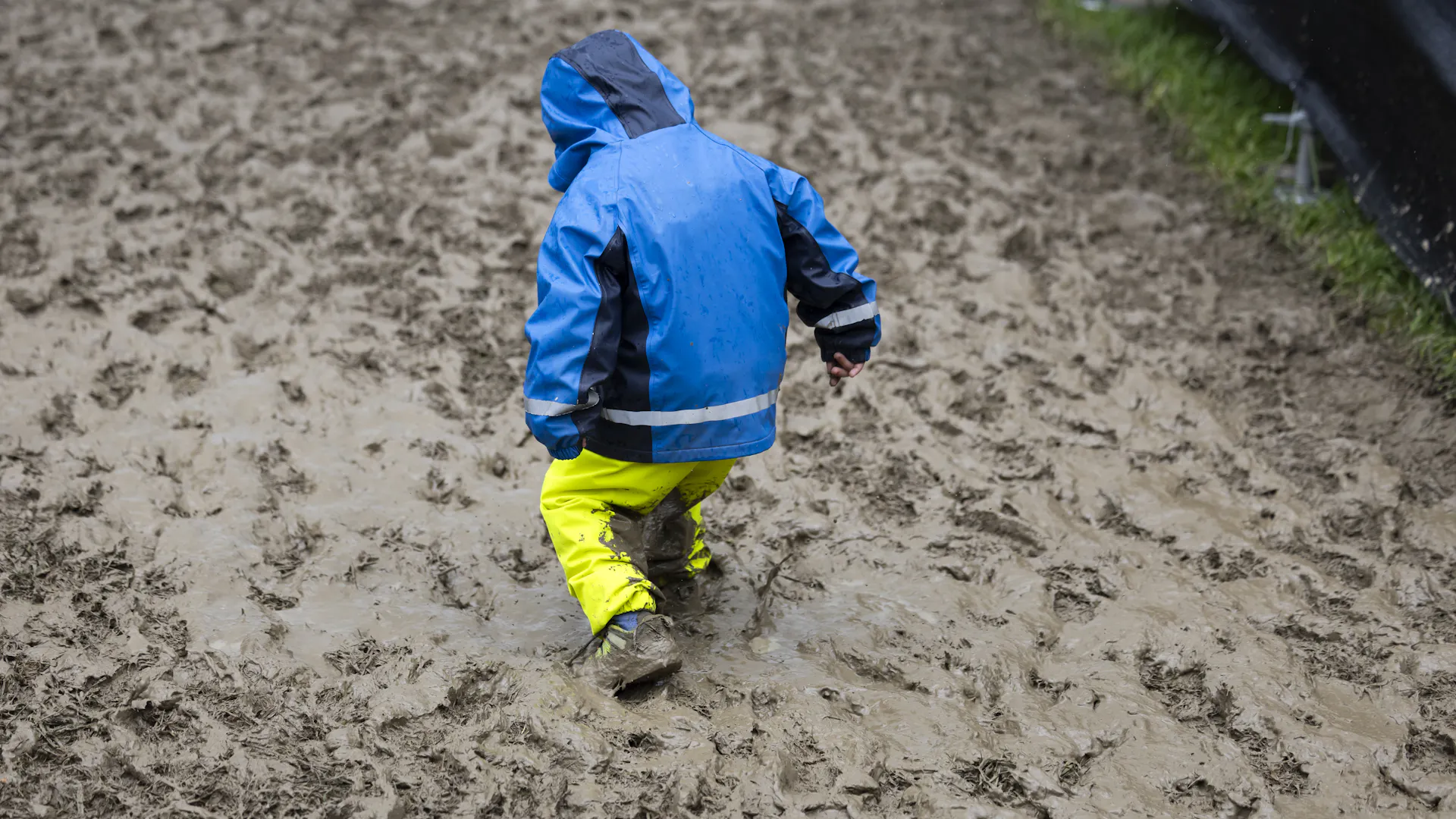 Two brothers from Aargau (ages 7 and 12) are declared dead online ...