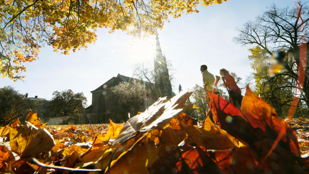 For trees, spring sets the stage for fall